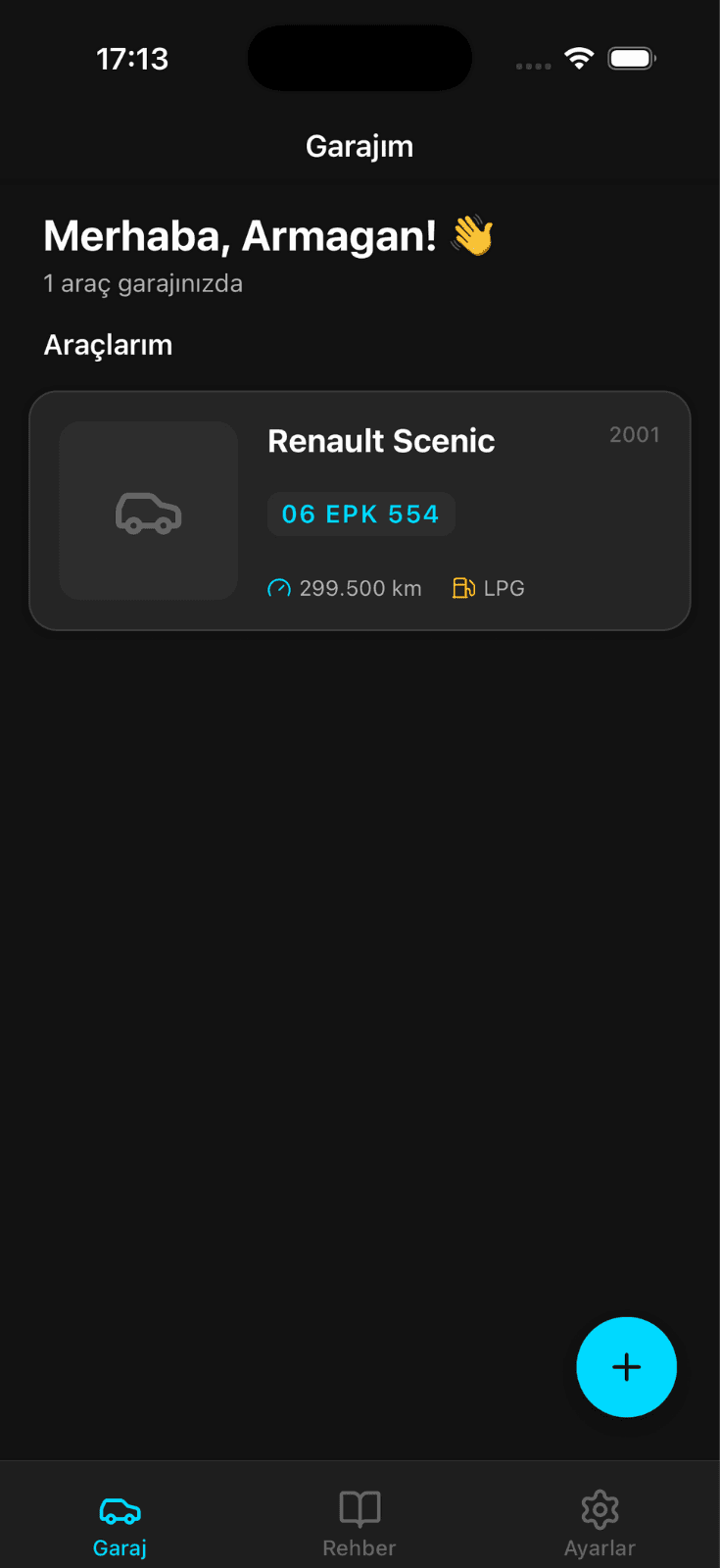 Project screenshot 1