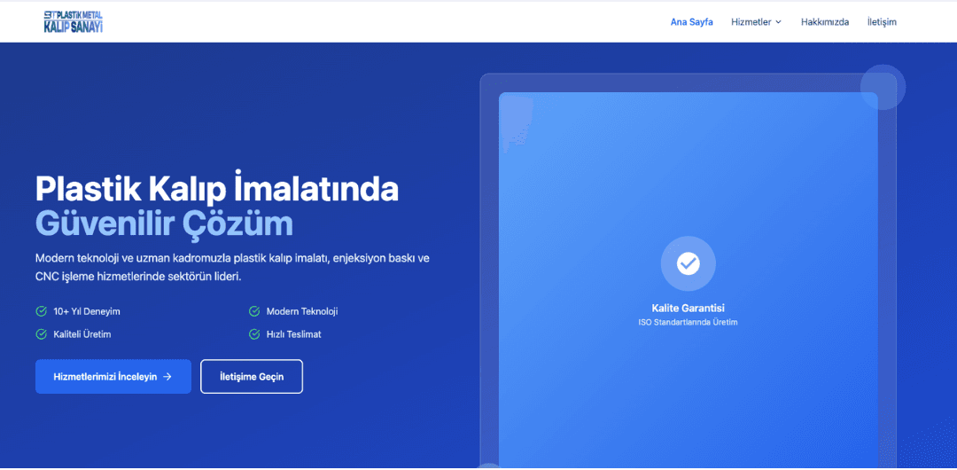 Project screenshot 1